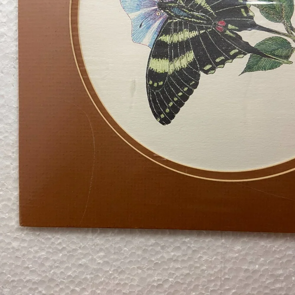 NWOT Lithography Butterfly Zebra Murray